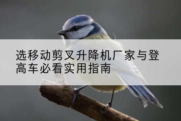 梁河电动升降机厂家-选移动剪叉升降机厂家与登高车必看实用指南