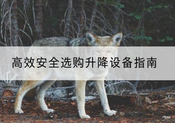 梁河升降货梯厂家推荐-*安全选购升降设备指南
